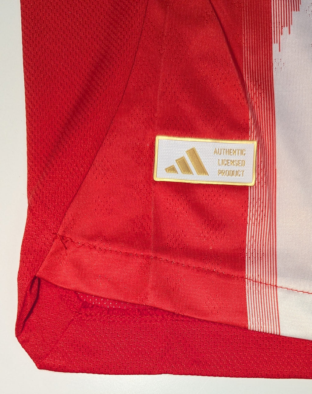 Bayern Munich 25/26 Jersey