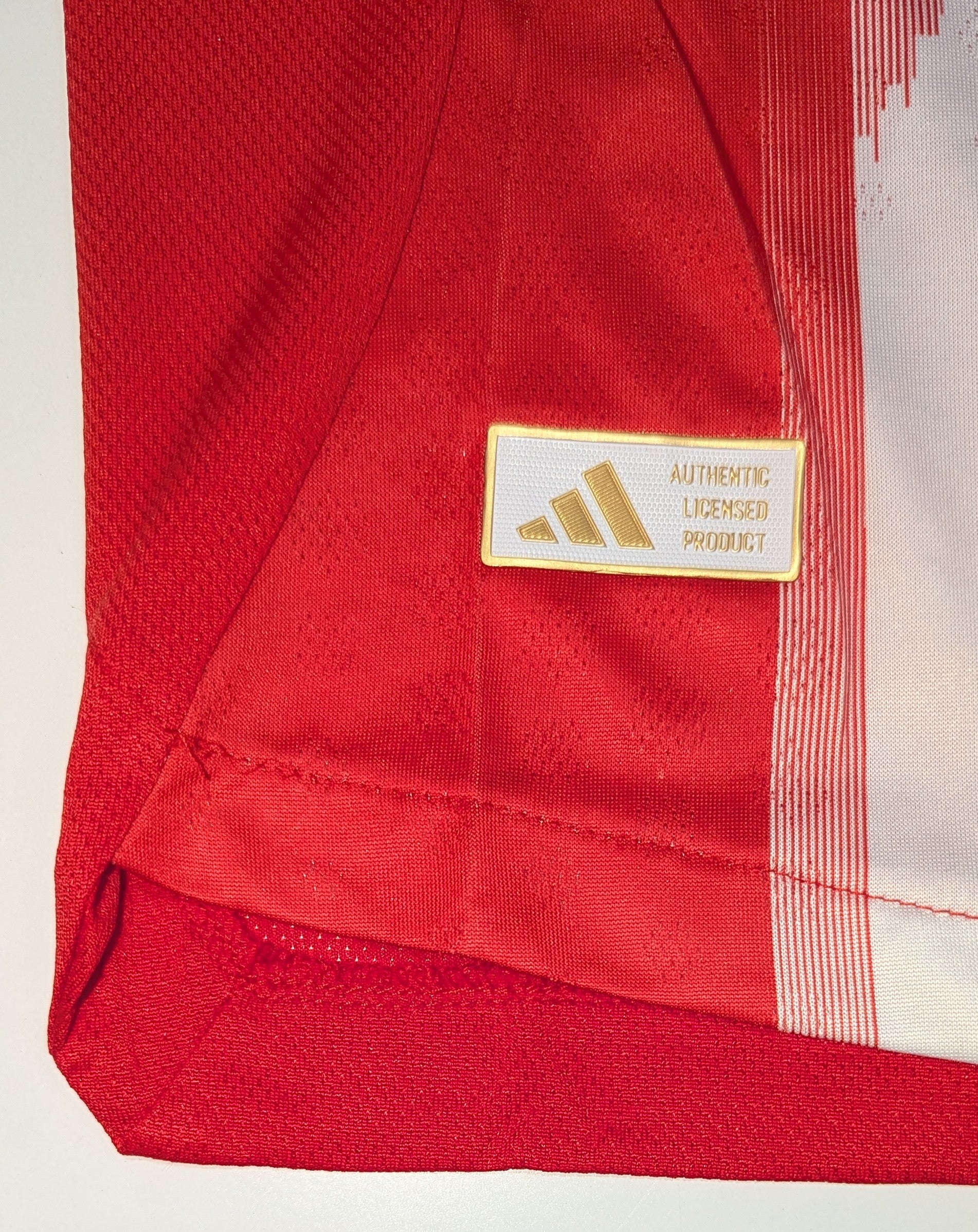 Bayern Munich 25/26 Jersey